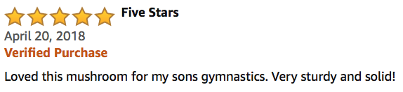 Boys Gymnastics Mushroom Pommel Trainer Reviews